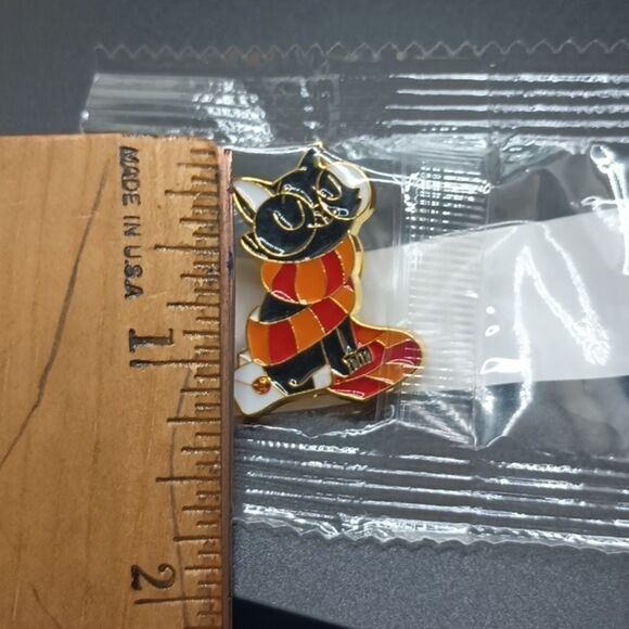 Harry Potter Hogwarts cat with glasses and scarf alloy pin - Picture 3 of 4